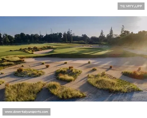 郑蕴通过训练日记揭示林克斯球场适应性训练突破短板的关键策略